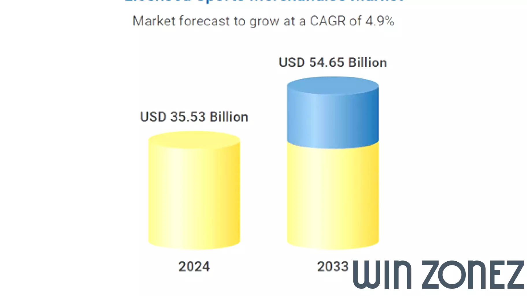 Forecast for the Licensed Sports Merchandise Market: Growth Insights for 2025-2033